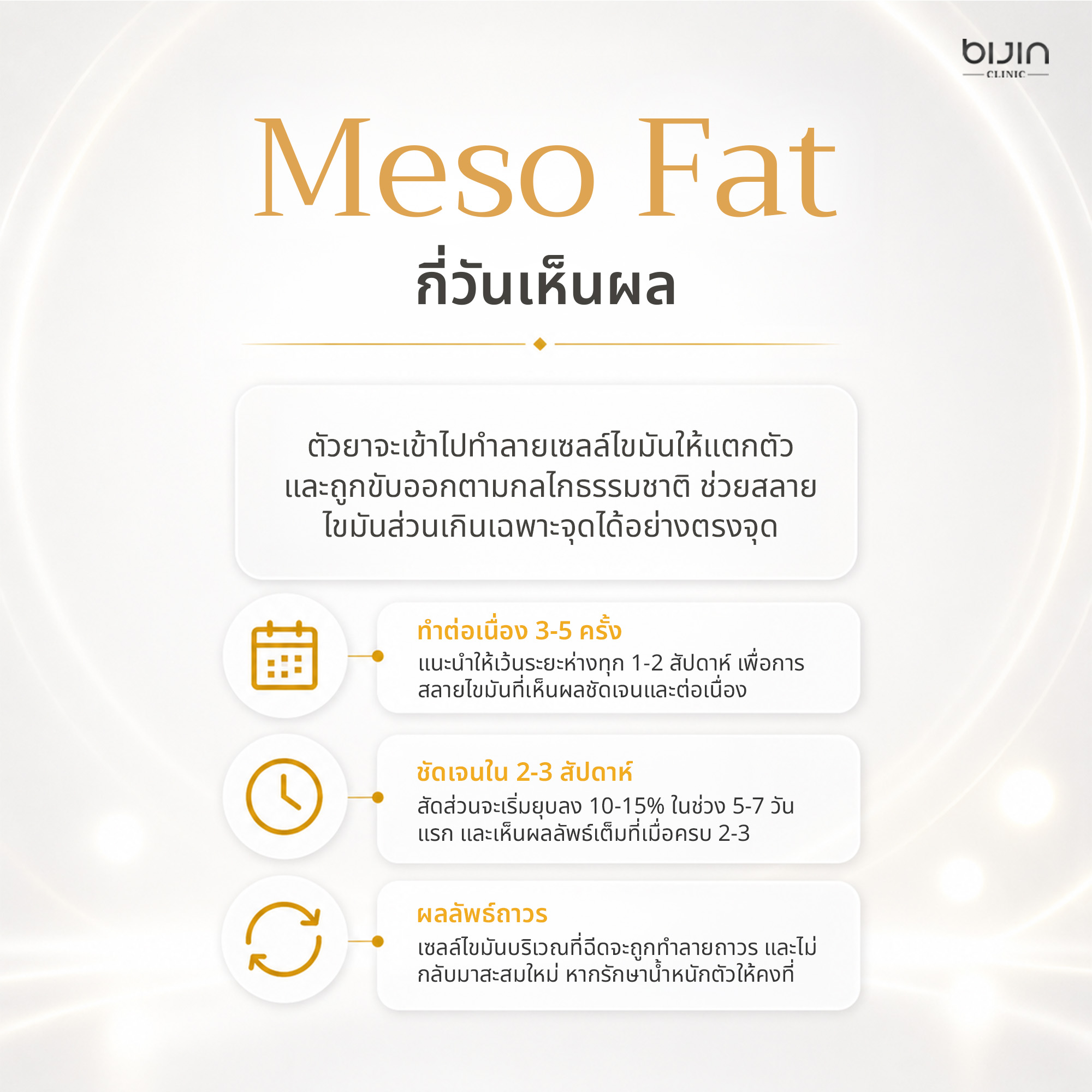 ผลลัพธ์เมโสแฟต ภาพที่ 3
